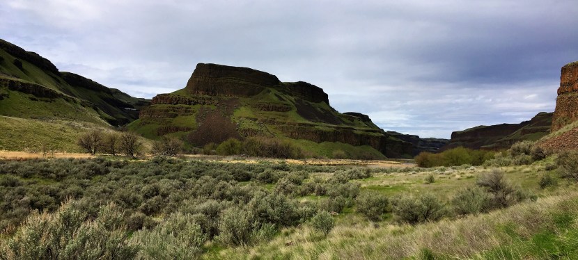 Invasive Plant Management: Where to&nbsp;Begin?