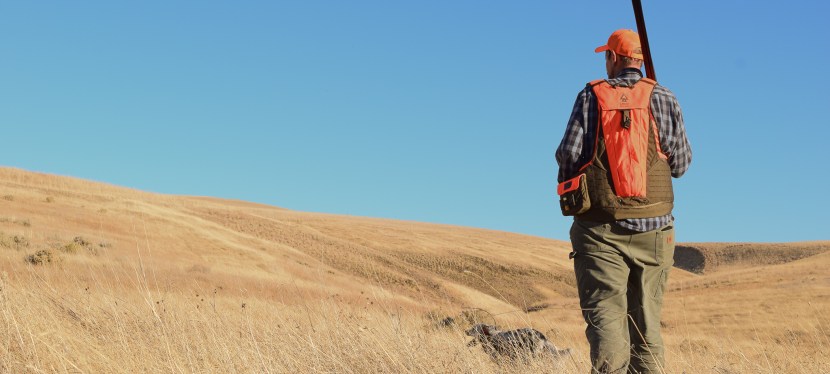 Palouse Outdoors – Boot Leather Wins Wild&nbsp;Birds