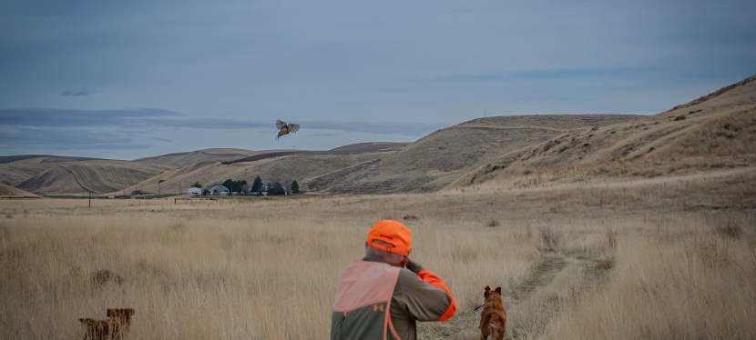 Palouse Outdoors – Playing a Royal&nbsp;Flush