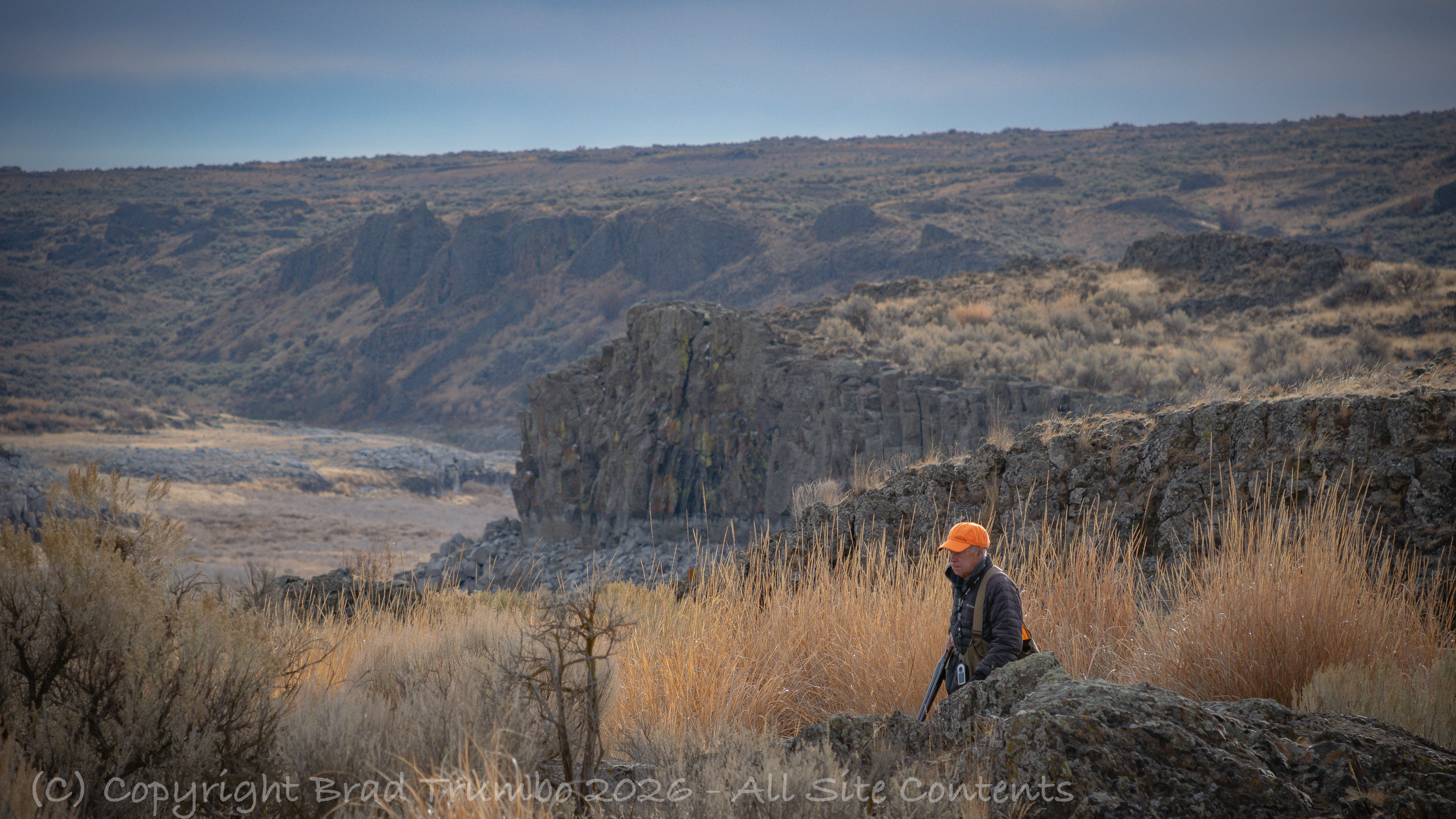 Palouse Upland Media